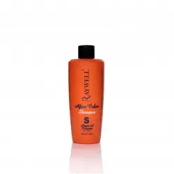 Шампунь для фарбованого волосся Raywell After Color 250ml